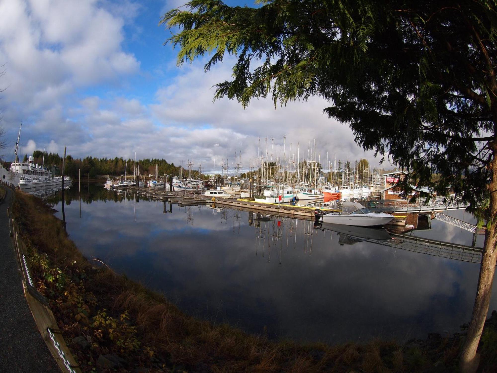 West Coast Motel On The Harbour ユクルーレット エクステリア 写真